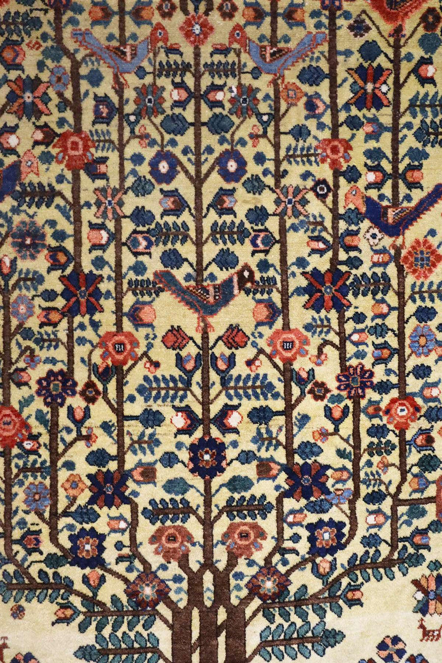 Neyriz Rug - Tree of Life - 1.96 x 1.52 m - Private Collection